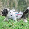 Pet Hoodies for Sublimation - 7 Sizes