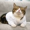 Pet Hoodies for Sublimation - 7 Sizes - Image 2